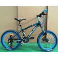 Wholesale 20 Inch Disc Brake Student Kids Mountain Bicycle Bike